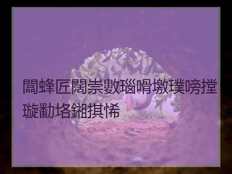 闆蜂匠闊崇數瑙嗗墽璞嗙摚璇勫垎鎺掑悕