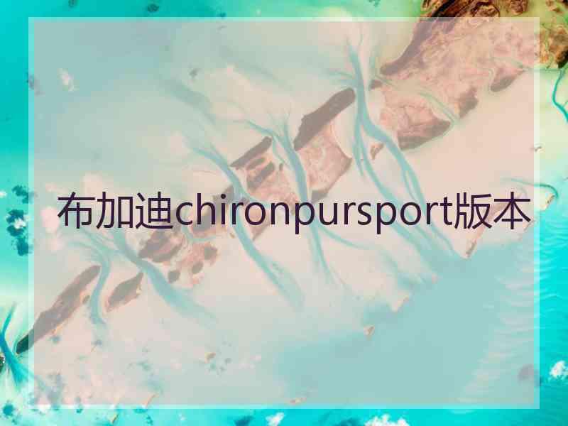 布加迪chironpursport版本