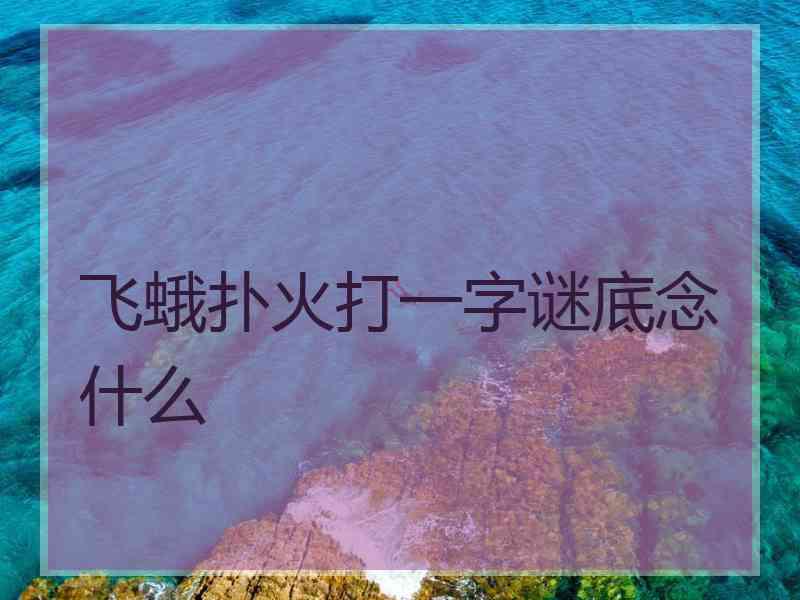 飞蛾扑火打一字谜底念什么