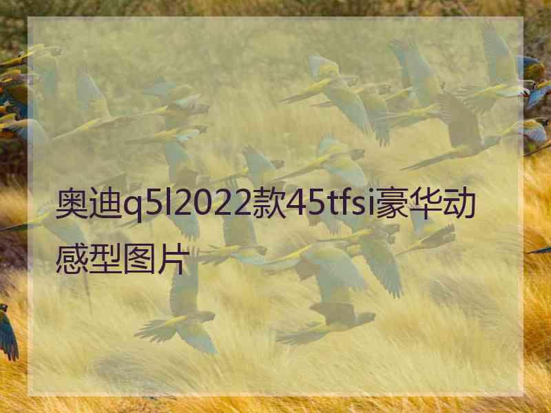 奥迪q5l2022款45tfsi豪华动感型图片