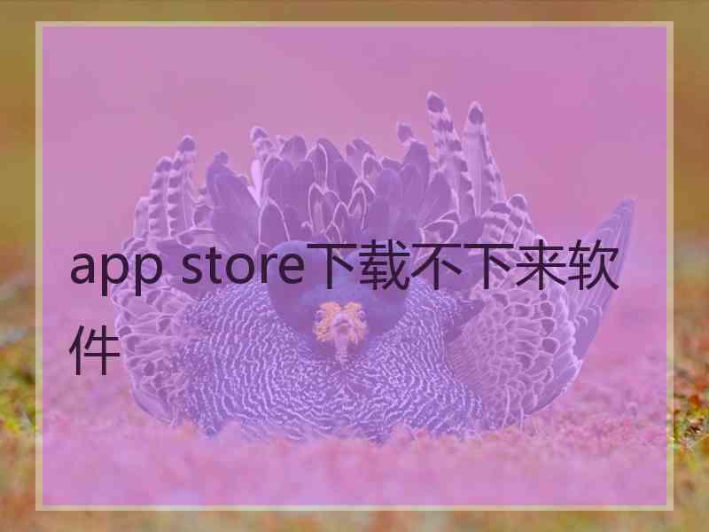 app store下载不下来软件