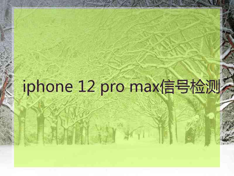 iphone 12 pro max信号检测