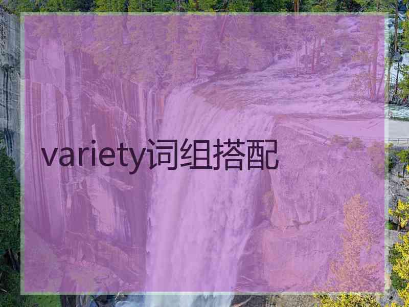 variety词组搭配