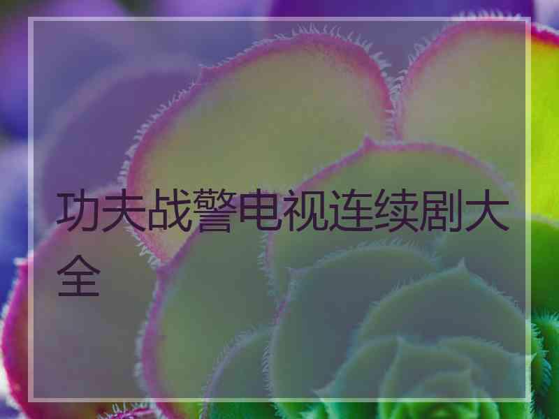 功夫战警电视连续剧大全