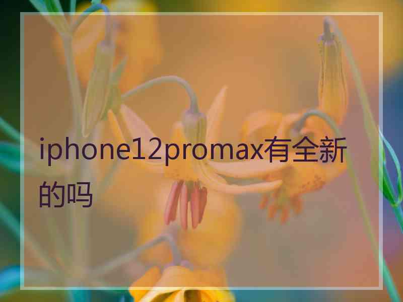 iphone12promax有全新的吗