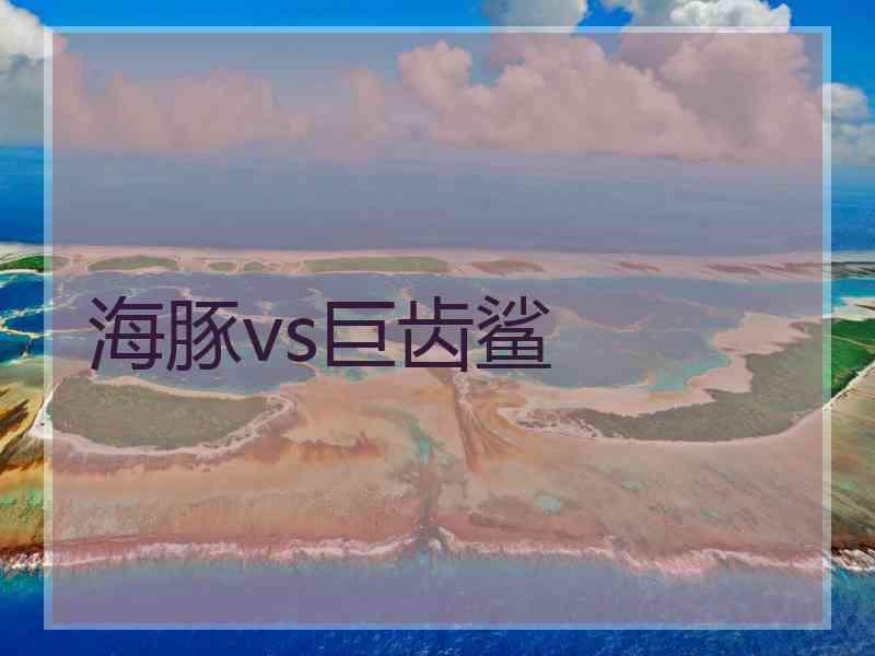 海豚vs巨齿鲨