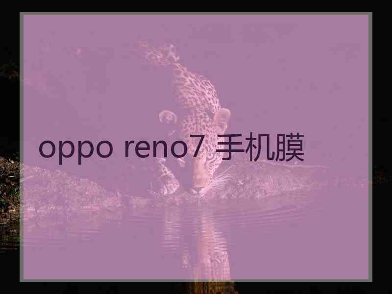 oppo reno7 手机膜