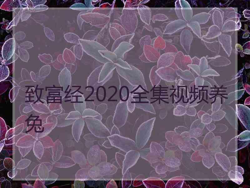 致富经2020全集视频养兔