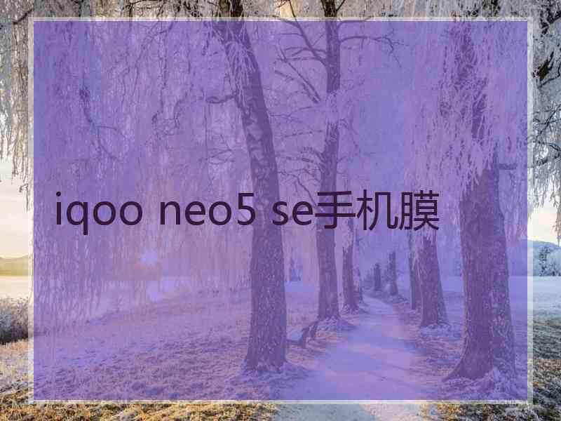 iqoo neo5 se手机膜