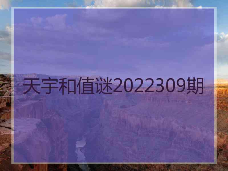 天宇和值谜2022309期