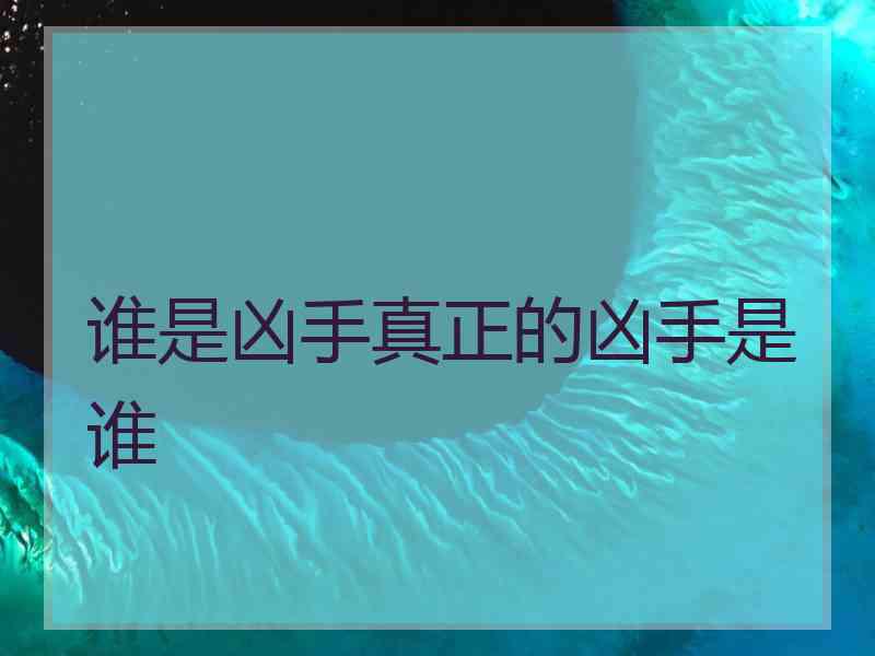 谁是凶手真正的凶手是谁