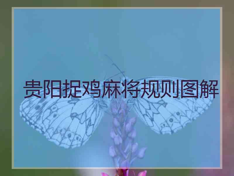 贵阳捉鸡麻将规则图解