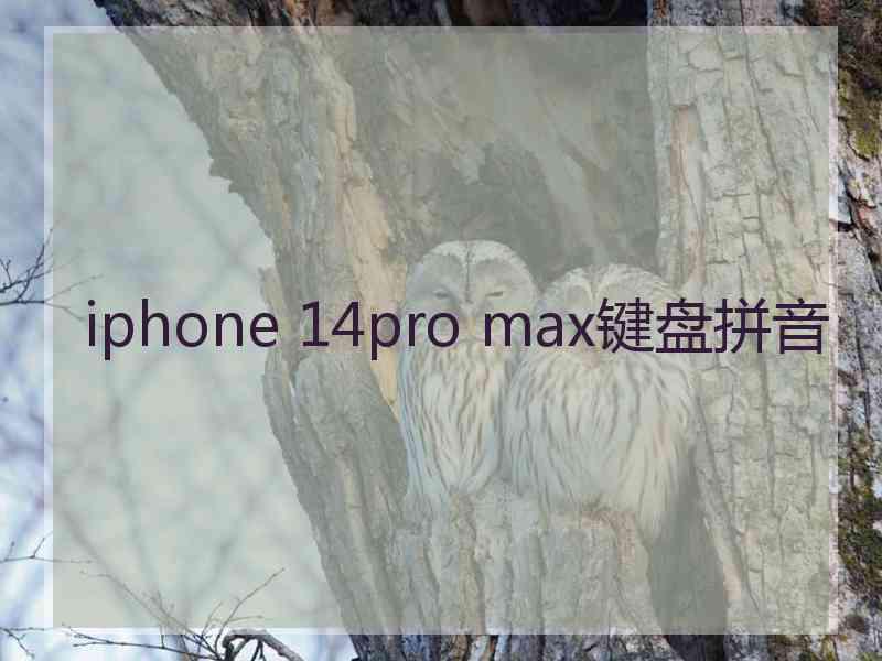 iphone 14pro max键盘拼音