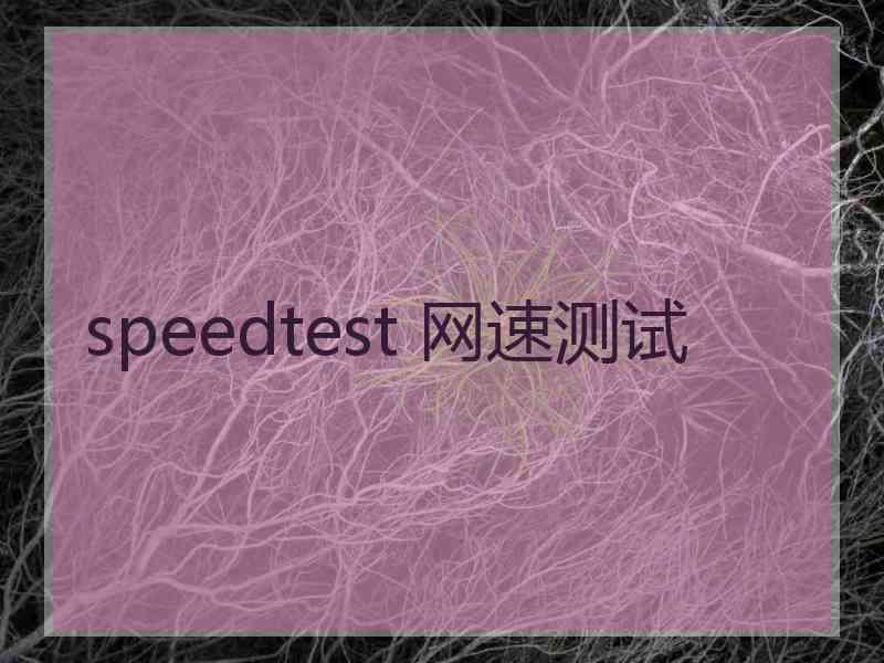 speedtest 网速测试