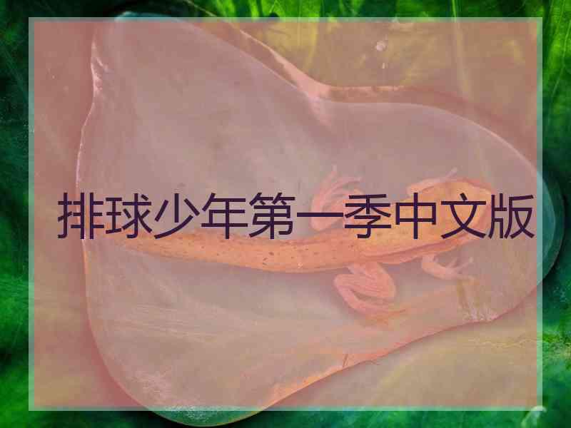 排球少年第一季中文版