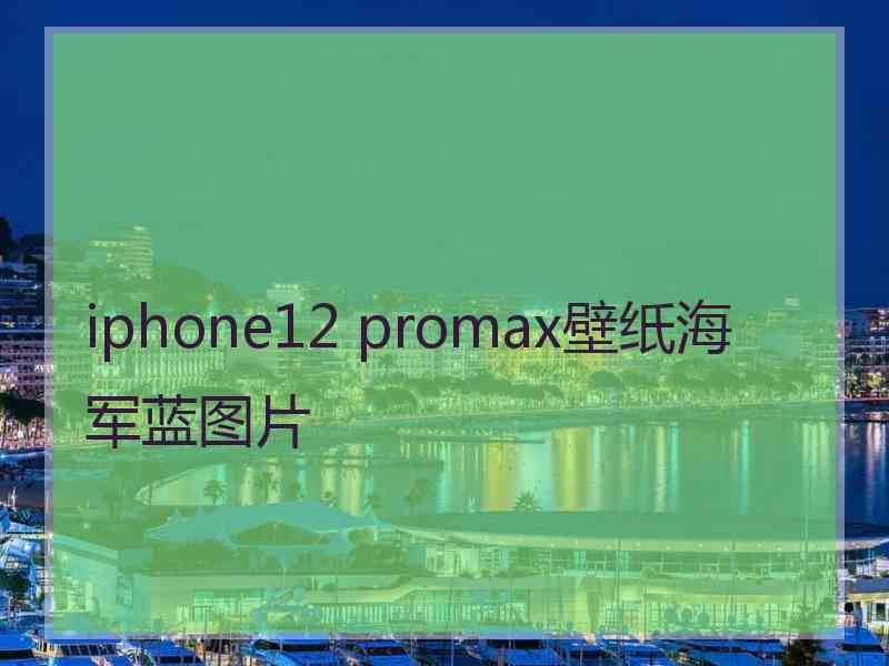 iphone12 promax壁纸海军蓝图片