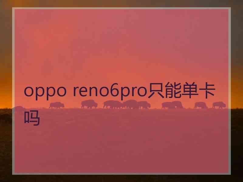 oppo reno6pro只能单卡吗