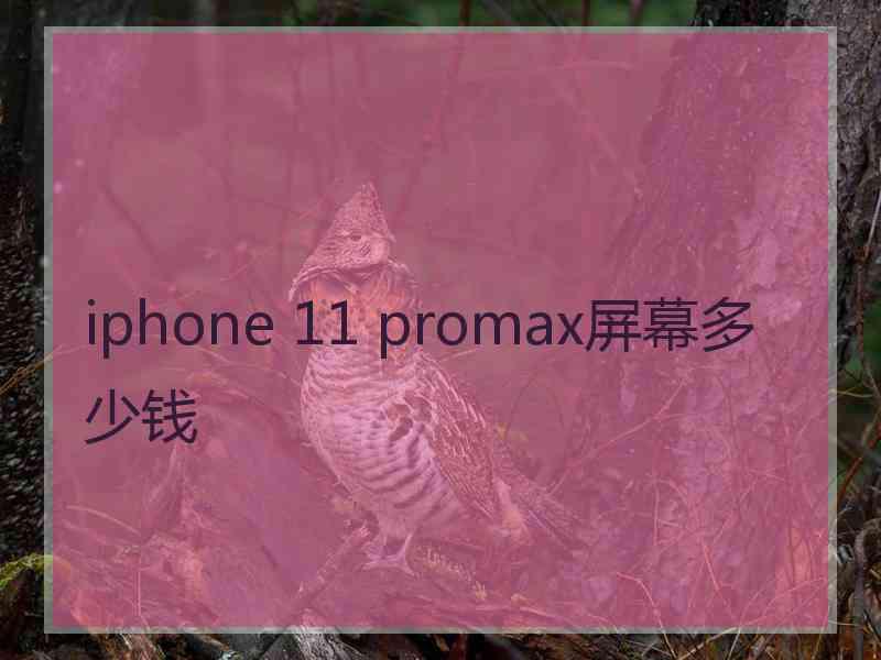 iphone 11 promax屏幕多少钱