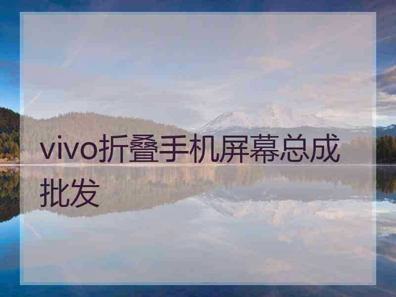 vivo折叠手机屏幕总成批发