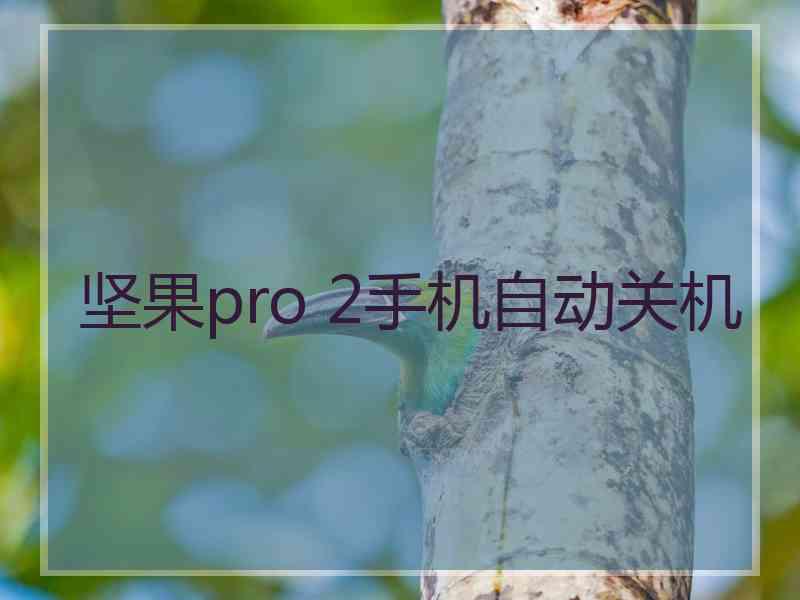 坚果pro 2手机自动关机