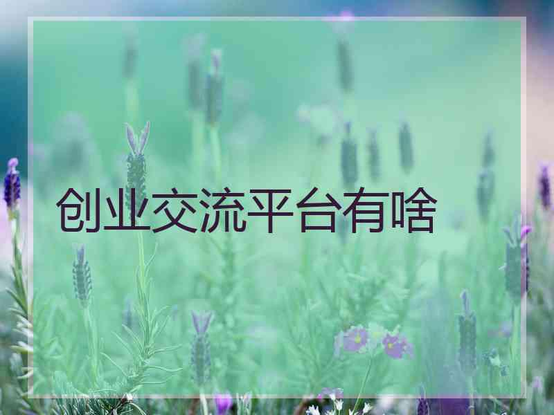 创业交流平台有啥