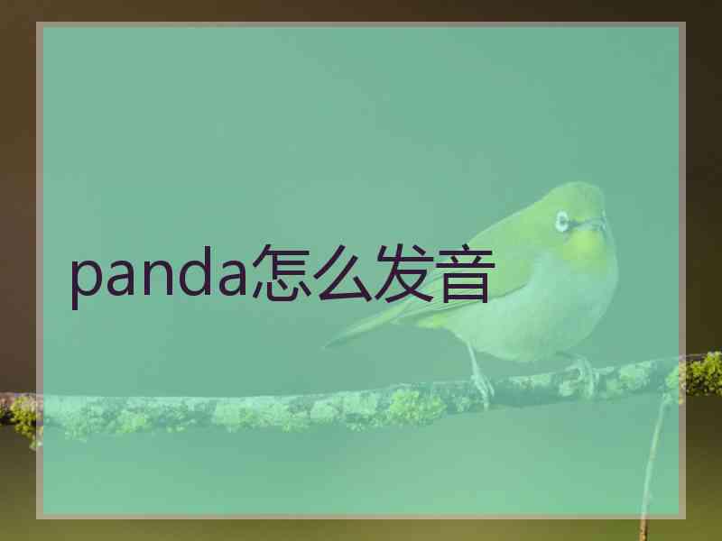 panda怎么发音