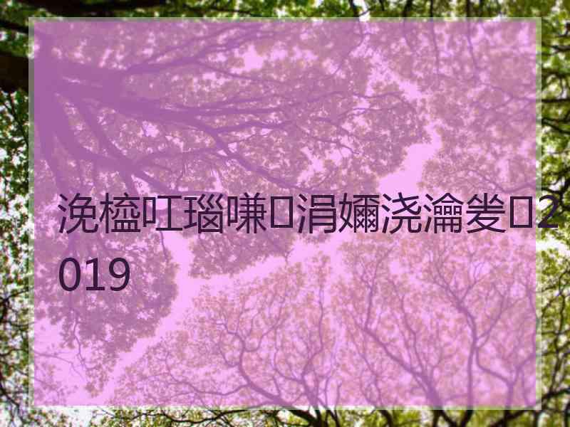 浼橀叿瑙嗛涓嬭浇瀹夎2019