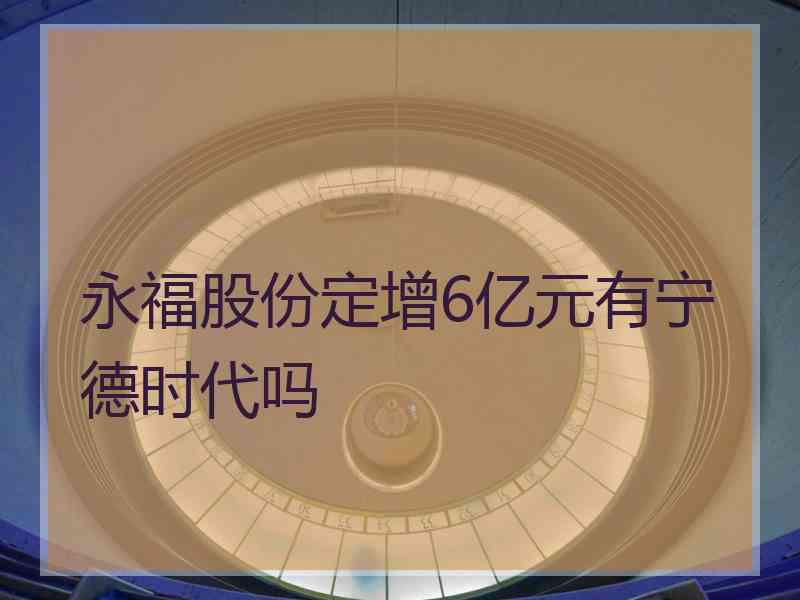 永福股份定增6亿元有宁德时代吗