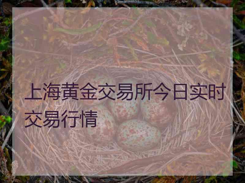 上海黄金交易所今日实时交易行情