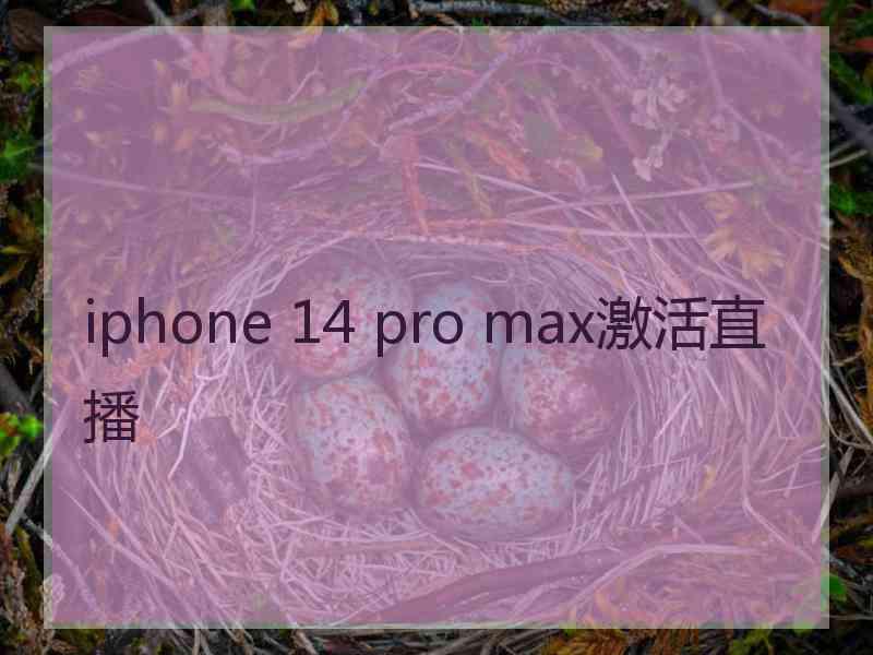 iphone 14 pro max激活直播