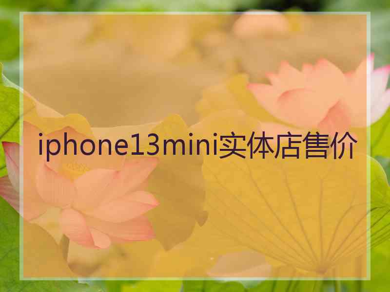 iphone13mini实体店售价