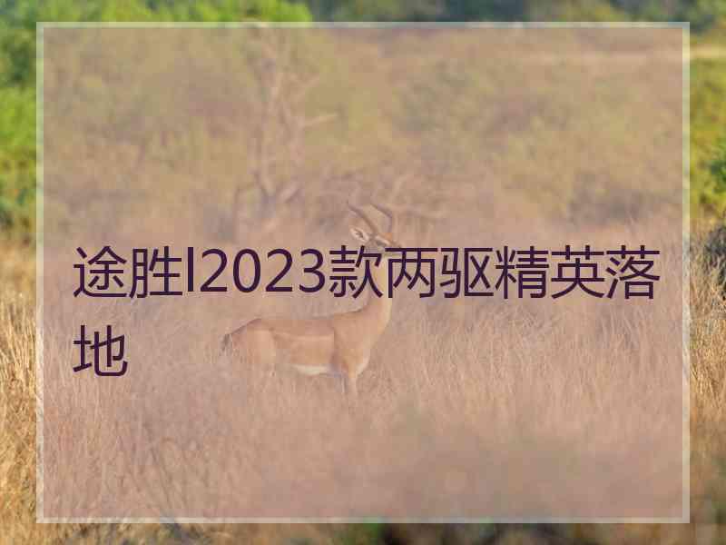 途胜l2023款两驱精英落地