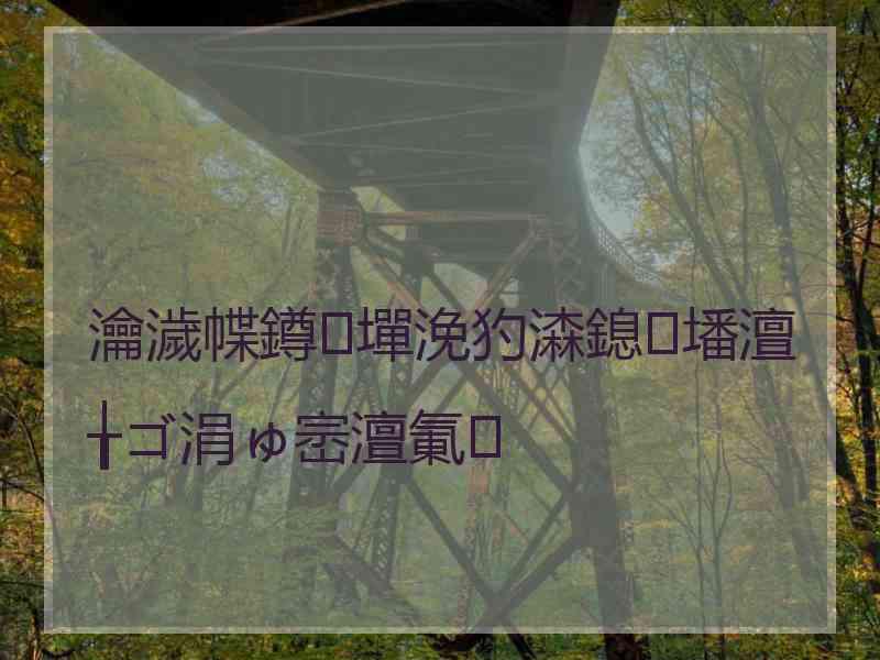 瀹濊幉鐏墠浼犳潹鎴墦澶╁ゴ涓ゅ崈澶氭