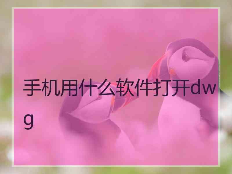 手机用什么软件打开dwg