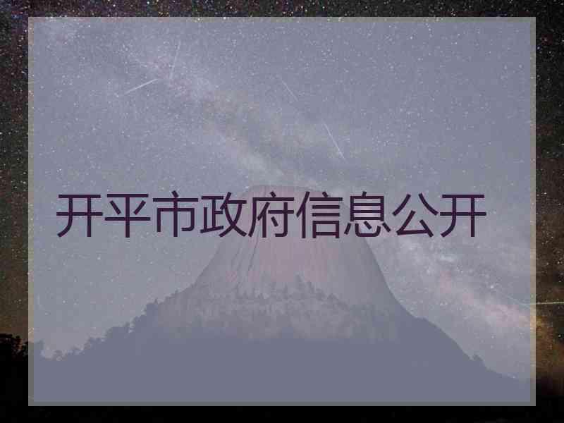 开平市政府信息公开