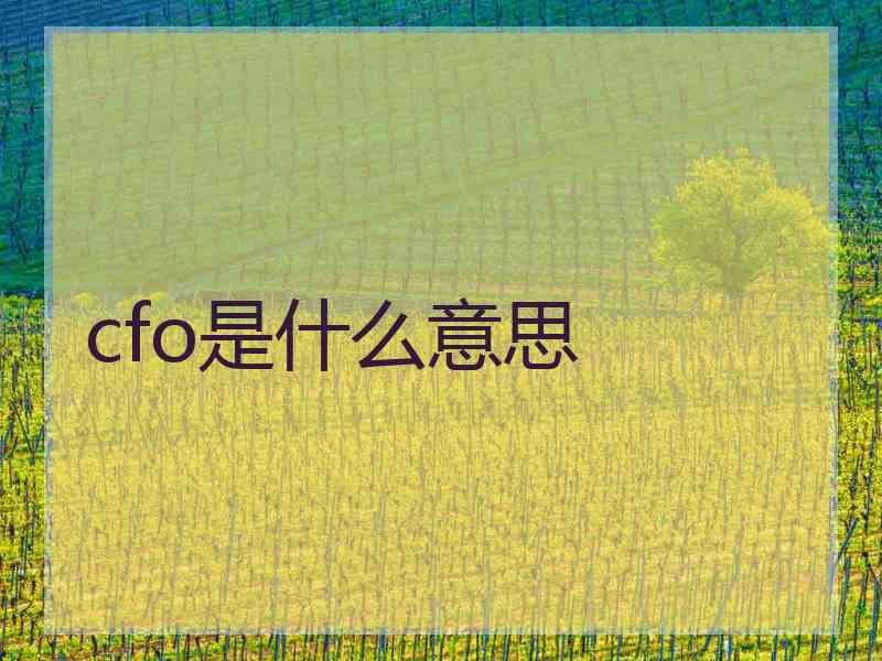 cfo是什么意思