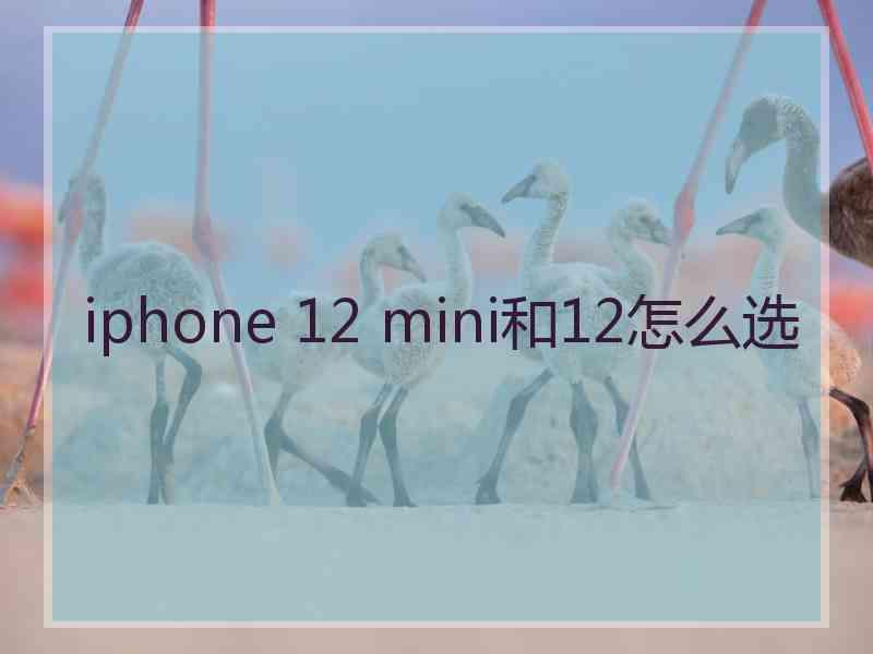 iphone 12 mini和12怎么选