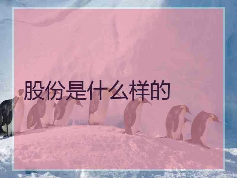 股份是什么样的