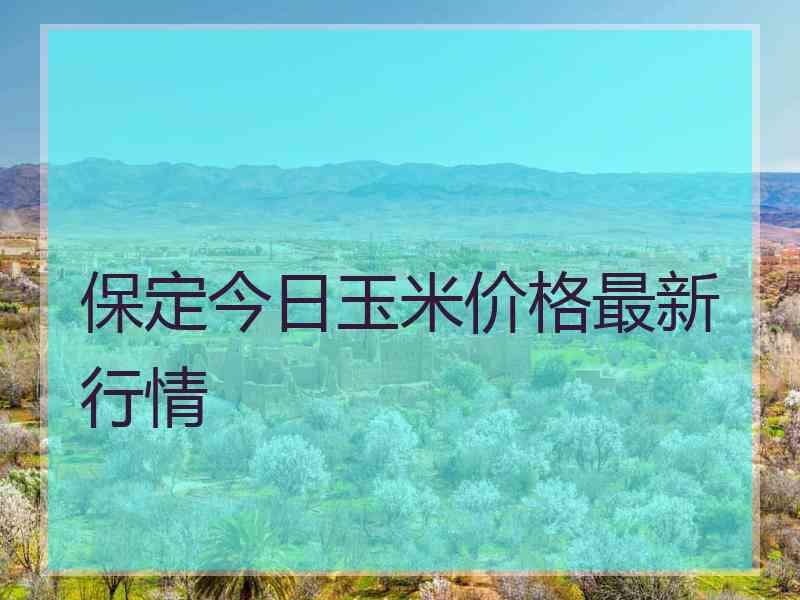 保定今日玉米价格最新行情