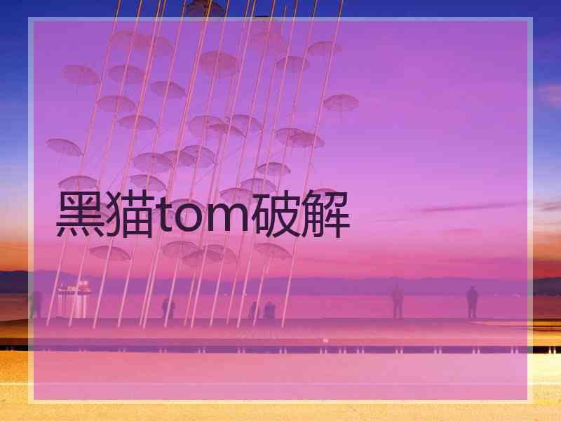 黑猫tom破解