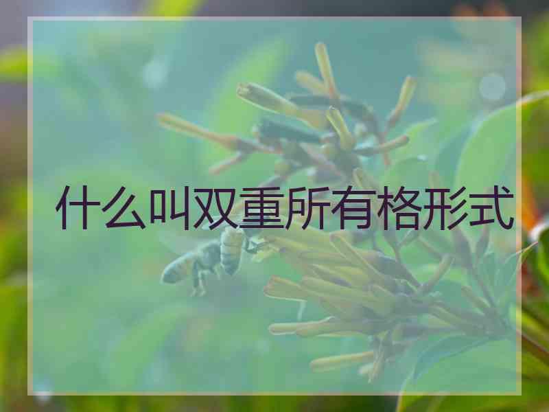 什么叫双重所有格形式