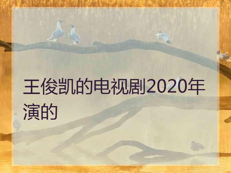 王俊凯的电视剧2020年演的