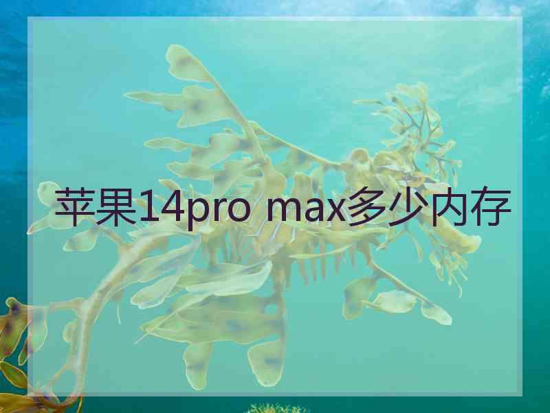 苹果14pro max多少内存