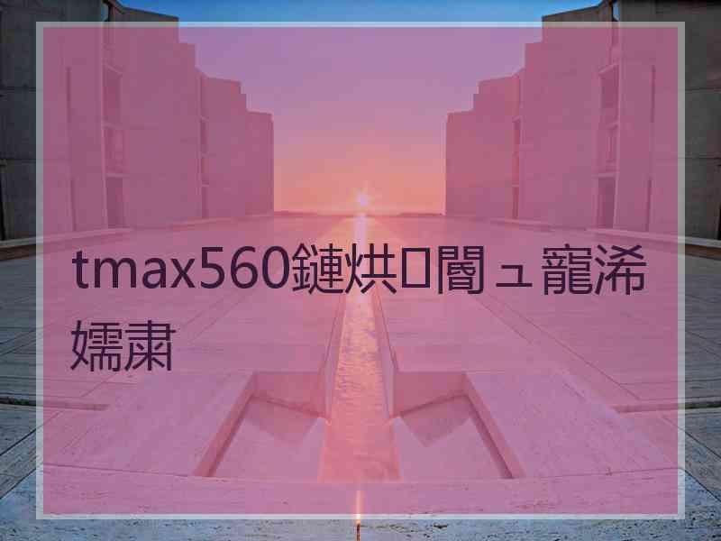 tmax560鏈烘閽ュ寵浠嬬粛