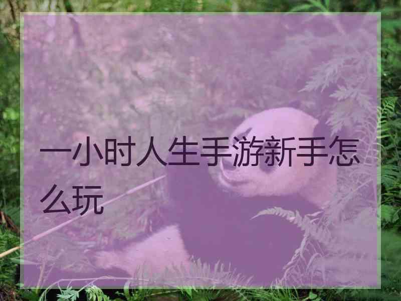 一小时人生手游新手怎么玩