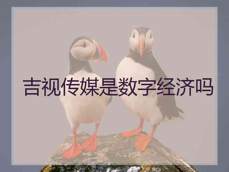 吉视传媒是数字经济吗