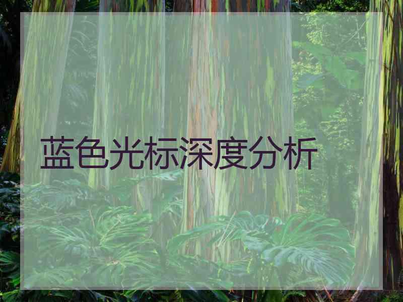 蓝色光标深度分析