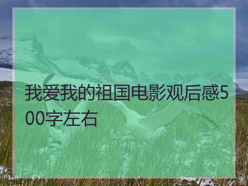 我爱我的祖国电影观后感500字左右