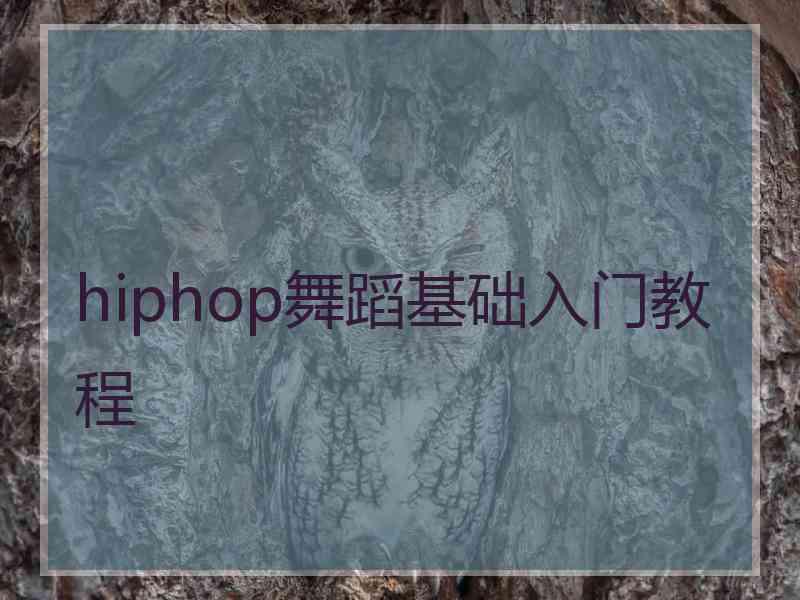 hiphop舞蹈基础入门教程