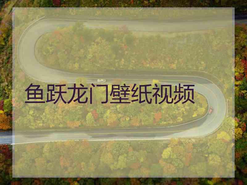 鱼跃龙门壁纸视频